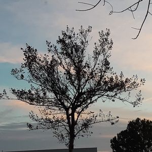 Meet your Posher, Kadense